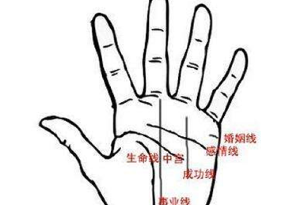 脚下痣频发，有权贵助力。脚底有痣预示富贵命、事业顺遂 。-新乐天