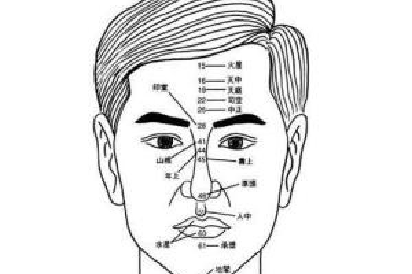 金鱼眼面相，传统相学中的智慧与现代解读-新乐天