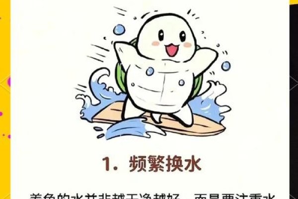 家里养龟十大禁忌-新乐天