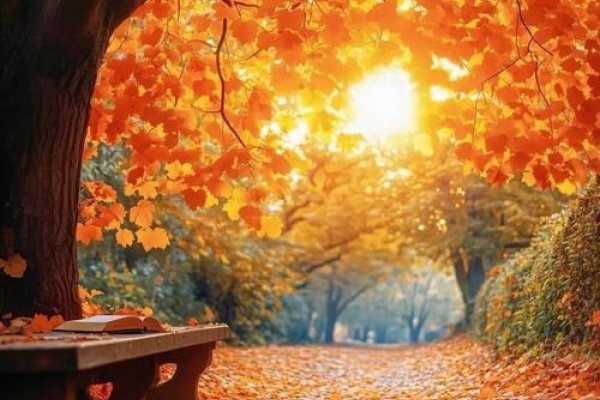 九月二十九，秋意渐浓的静谧之日-新乐天