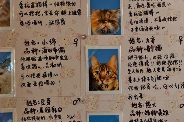 家中庞物与生肖的奇妙联系-新乐天