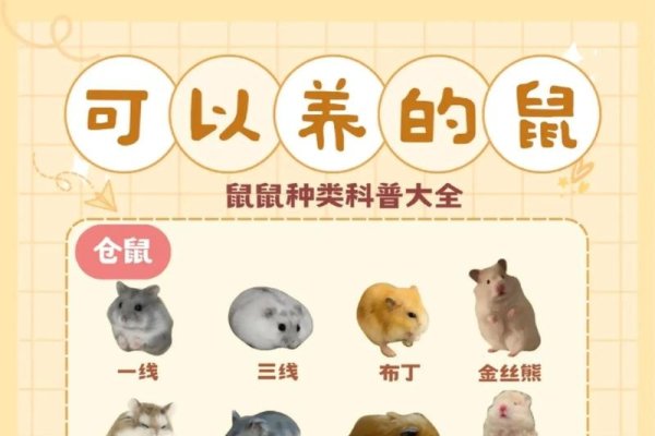 家中宠物生肖探秘-新乐天