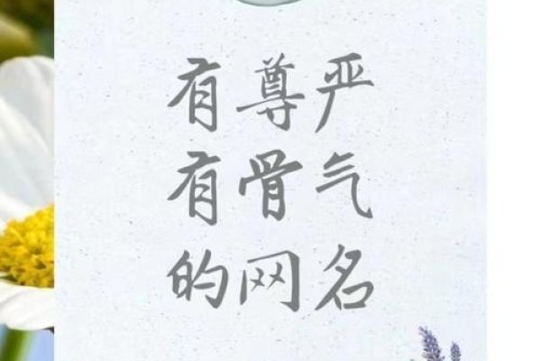 空间名字霸气，书写空间专属的尊严与力量-新乐天