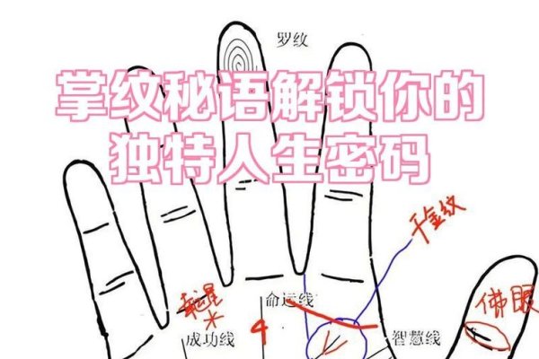 看手相，探寻生男生女的密码-新乐天