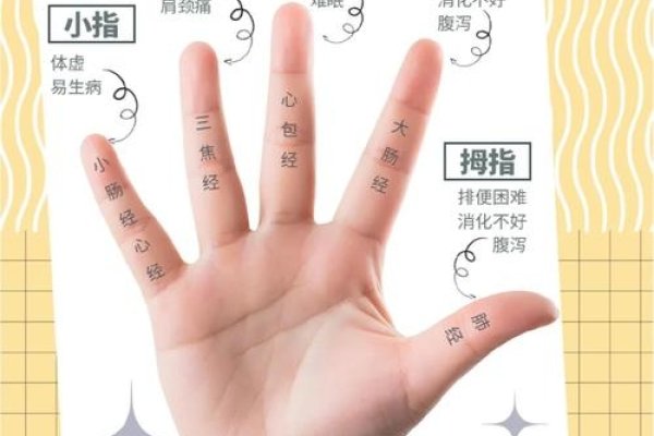 看手相知健康，揭秘人体潜在健康密码-新乐天