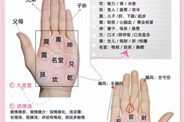 看手相准吗？这些准还是假的？-新乐天