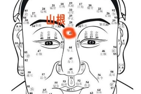 看相算命痣，揭开命理神秘面纱-新乐天