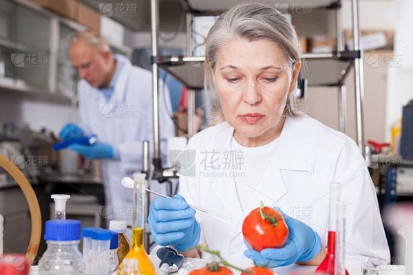 科学生男生女预测表的探索与应用-新乐天