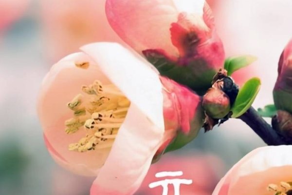 立春时刻揭秘，2021年立春具体时间-新乐天