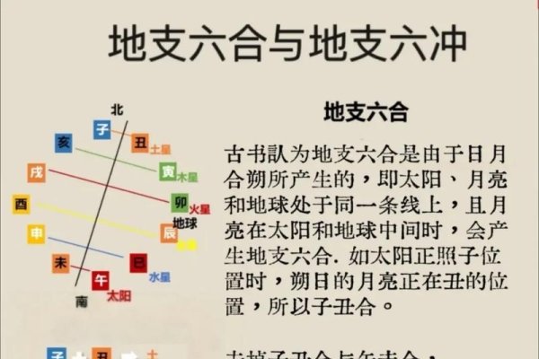 六合大全地支知识解读-新乐天