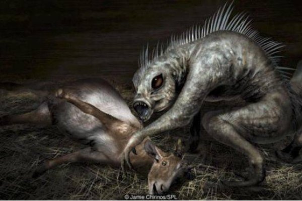 林寒洞肃，探寻背后的神秘动物-新乐天