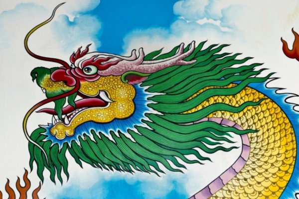 龙虎风云下的生肖传奇-新乐天