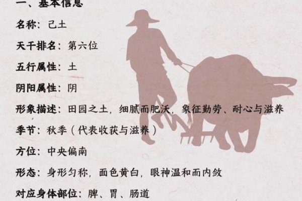 论己土生于未月的命理特征与调候策略-新乐天