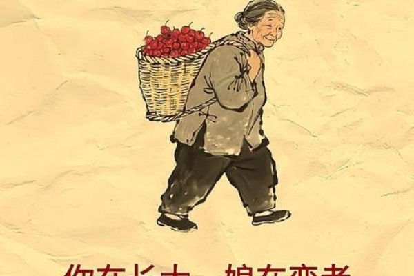 老妈要嫁人，爱与陪伴的全新篇章-新乐天