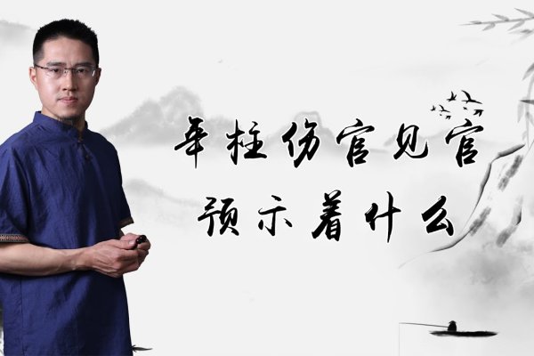 流年伤官见官，一场历史与文化的深刻对话-新乐天