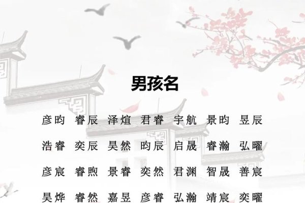 龙年宝宝起名大全,传统与现代相结合的命名艺术-新乐天