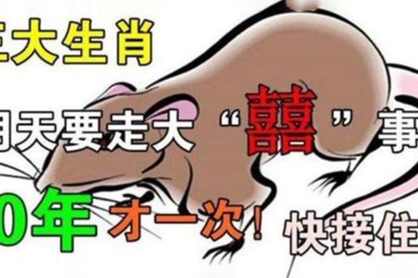 来日方长与生肖的奇妙缘分—探寻属于生肖的长远未来-新乐天