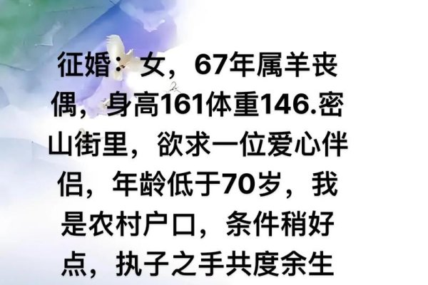 老人征婚网，开启情感共鸣的婚恋新选择-新乐天