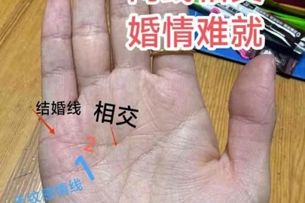 两条感情线，交织的宿命与选择-新乐天