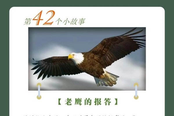 老鹰报复捕鸟者，村民受伤连连-新乐天