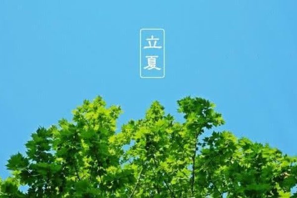 立夏的含义与习俗-新乐天