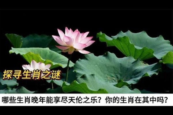 立竿见影的生肖之谜-新乐天