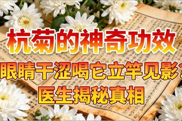 立竿见影正确生肖揭秘-新乐天