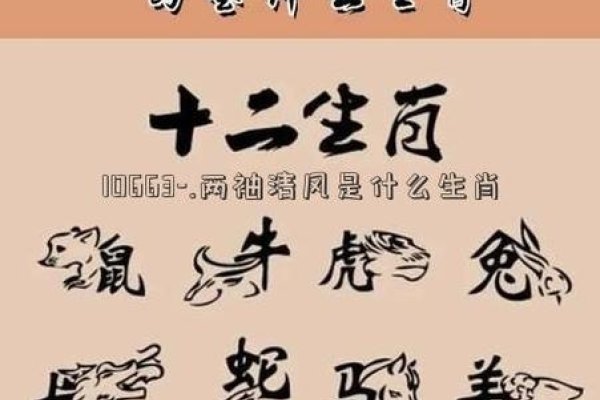 两袖清风生肖探秘-新乐天