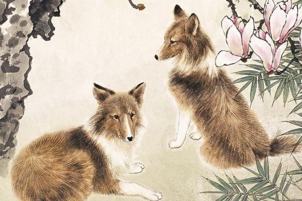 老谋深算的动物生肖—生肖智慧之谜-新乐天