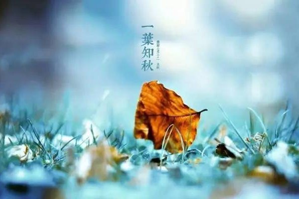 立秋时刻，几分几秒，感受秋天的脚步-新乐天