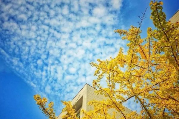 立秋时刻，2019年的秋天悄然来临-新乐天