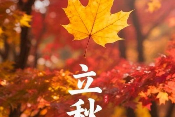 立秋时刻，探寻2020年的秋之始-新乐天