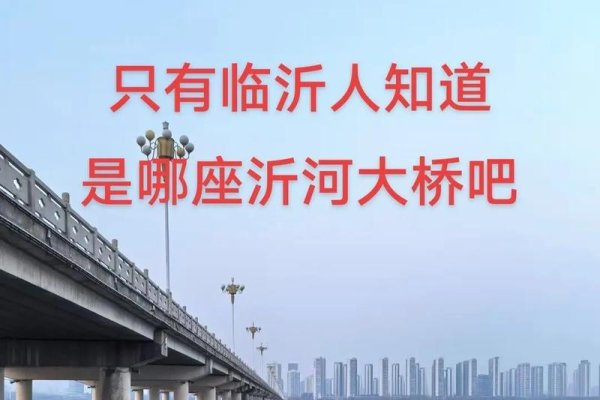 临沂聊天室，连接心灵的桥梁-新乐天