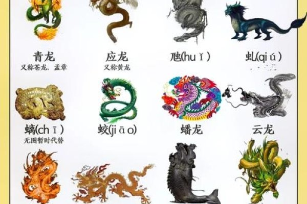 龙翔凤翥与生肖的奥秘-新乐天