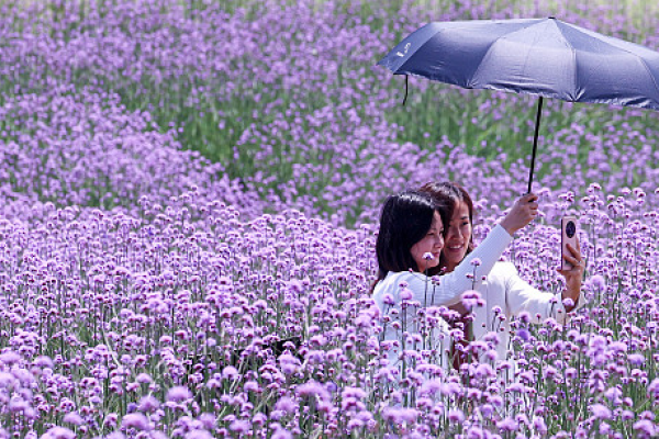 立夏，阴阳交汇中的自然奥秘-新乐天