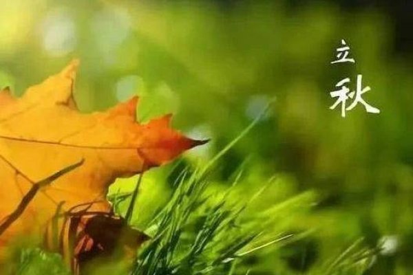 立秋2020年，自然界的转折点与人类生活的微妙变化-新乐天
