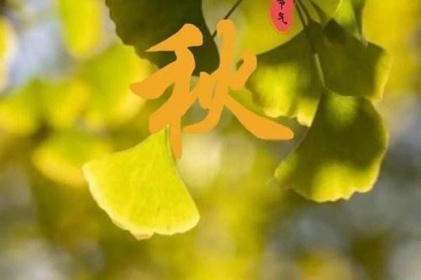 立秋之时，探寻2022年的秋之始-新乐天