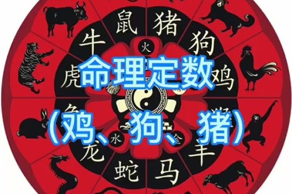 楼宿之鸡的寓意与解读-新乐天