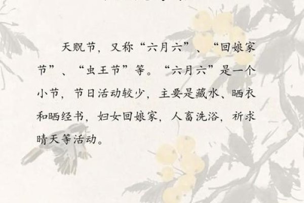 六月六日，传统与习俗的交织-新乐天