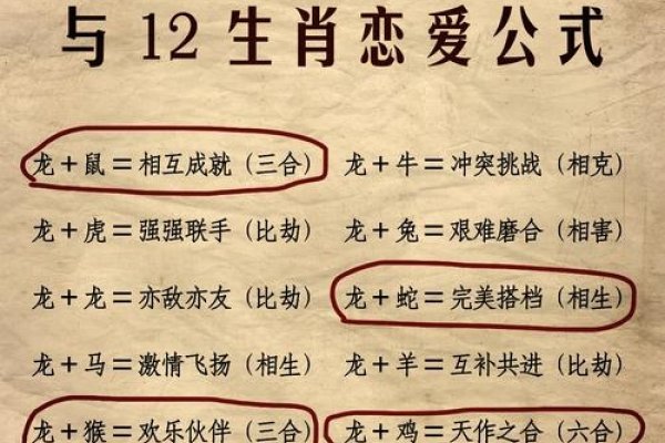 龙与生肖配对的奥秘，探寻最佳搭档-新乐天