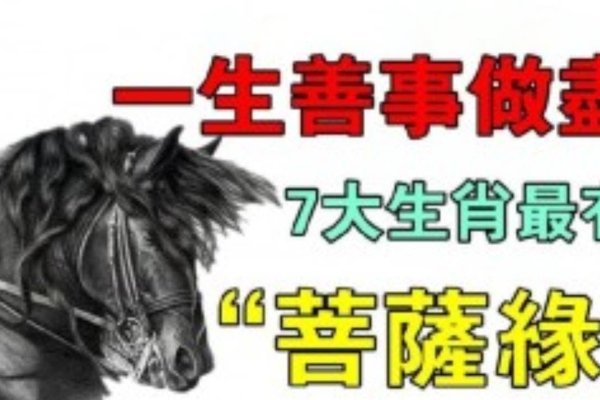 良知良能，生肖之魂-新乐天