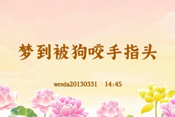 梦到被狗咬，生活中的小小惊喜与深层启示-新乐天