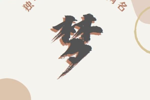 梦的网名，探索梦境与现实交织的奇妙之旅-新乐天