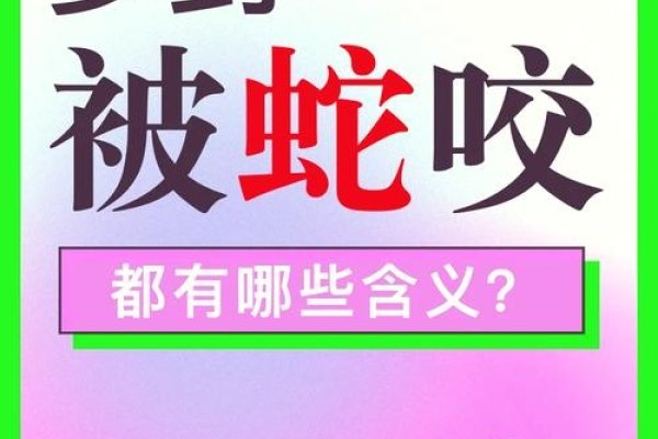 梦到蛇群与咬伤，家庭、事业及心理的警示信号-新乐天