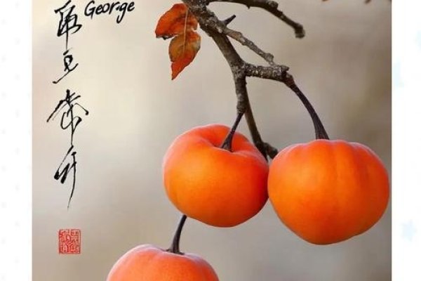 梦到柿子预示吉祥，助人进步更顺畅-新乐天