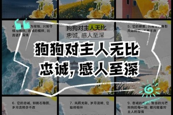 梦回白犬，探寻内心深处的纯真与忠诚-新乐天