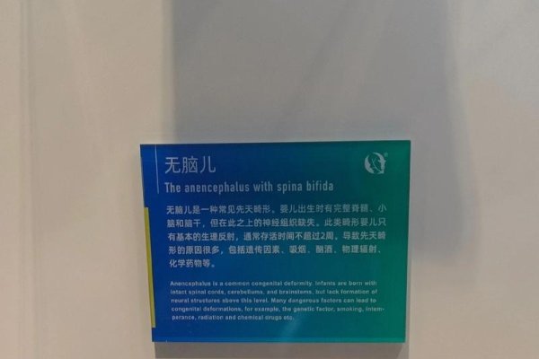 梦回初生，解析梦中婴儿的奥秘-新乐天