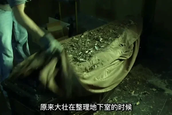 梦回幽冥，解析梦见棺材与死人的深层含义-新乐天