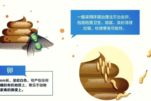 梦回蝇影，一场关于苍蝇的奇异梦境探索-新乐天