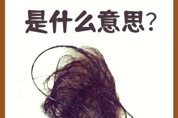 梦见别人掉头发，孤独与希望的交织-新乐天